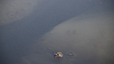 Hessische Tierärztin kämpft für Wal Timmy in der Ostsee