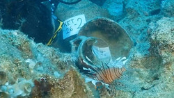 Archäologen finden ältestes Schiffswrack vor türkischer Mittelmeerküste