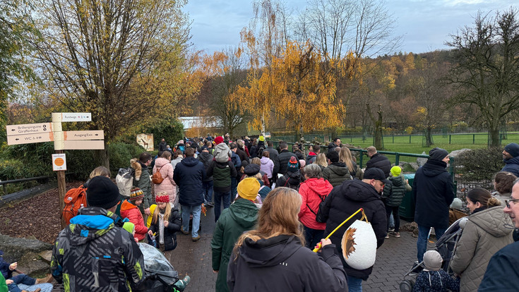 Tierischer Laternen-Umzug im Opelzoo in Kronberg