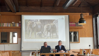 Rekordjahr für den Opel-Zoo: Besucherrekord und Jubiläum