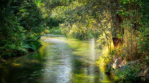 Kreuz und Quer am 28. Juli Ausflugstipps & Gründerin der Babyklappe