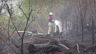 Waldbrand im Westerwald: Zwei Jugendliche unter Verdacht