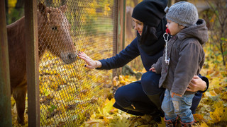 Was magst du am Herbst am meisten?
