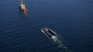 Netz von Barge mit Buckelwal in Ostsee entfernt