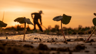 Bilder des Tages
