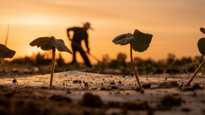 Bilder des Tages