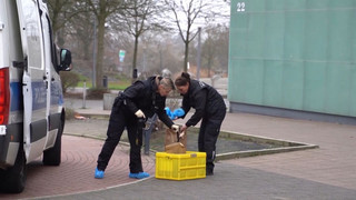 Angriff auf Frau und vier Kinder: Tatverdächtiger in U-Haft