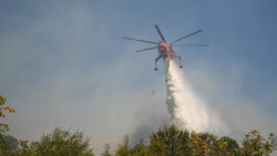 Kampf gegen Waldbrände: So ist die Lage