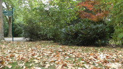 Kürzere Tage, kältere Luft: Wie der Herbst im Körper wirkt