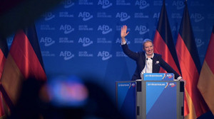 AfD: Von der Drei- zur 30-Prozent-Partei