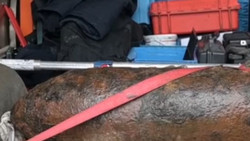 Munitionsfund: Weltkriegsbombe bei Heidenau entschärft