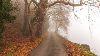 Jetzt abstimmen: Wie ist eure Herbstlaune?
