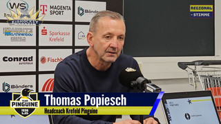 Krefeld Pinguine feiern ersten Heimsieg - Alle Tore und Stimmen im Video