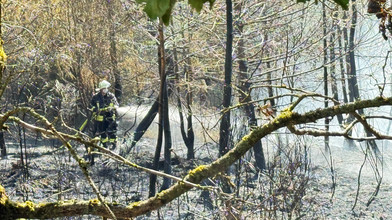 Waldbrand in Grävenwiesbach:Feuer auf Bundespolizei-Gelände