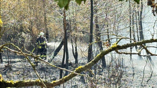 Waldbrand in Grävenwiesbach:Feuer auf Bundespolizei-Gelände