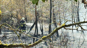 Waldbrand in Grävenwiesbach:Feuer auf Bundespolizei-Gelände