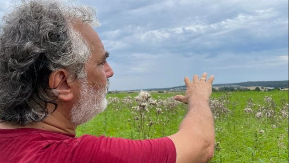 Hanf-Experte Walter zeigt über das Feld in die Weite der Wetterau. Wenn der Hanf weiter schnell wächst, wird die Orientierung im Labyrinth schwieriger.