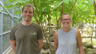 Kreuz & Quer am 14. August 2022 - Sommeraktion Sonntagsengel