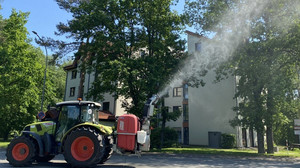 Gießen startet Kampf gegen Eichenprozessionsspinner