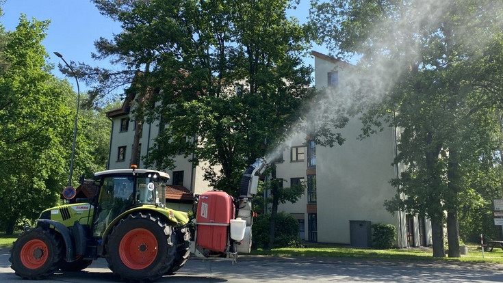 Gießen startet Kampf gegen Eichenprozessionsspinner