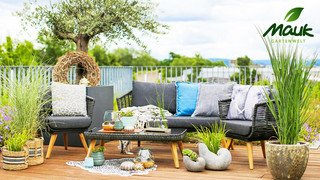 Punkte sammeln & 500 € für Pflanzen gewinnen