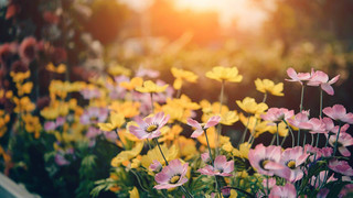 Kreuz & Quer am 3. April - wir machen's frühlingsfit!