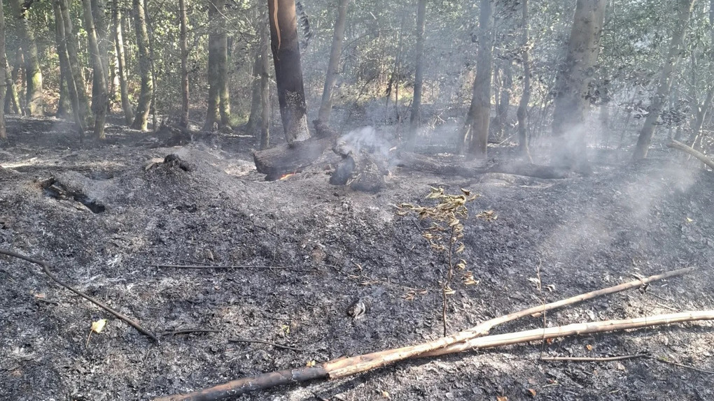 Waldbrände bei Rodenbach - Feuer jetzt unter Kontrolle