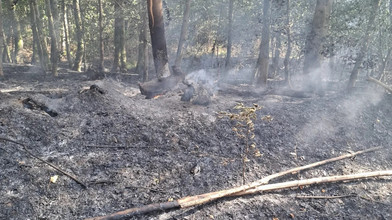 Waldbrände bei Rodenbach - Feuer jetzt unter Kontrolle