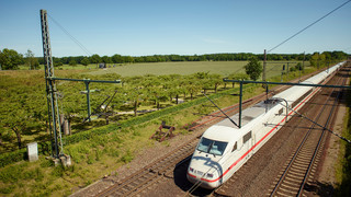 ICE erfasst Reh bei Niedernhausen - Strecke länger gesperrt