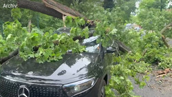 2,6 Milliarden Euro Unwetter-Schäden: Dennoch Rückgang zu 2024