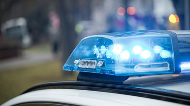 Vermisstenfall: Forstarbeiter entdecken Teile von Skelett