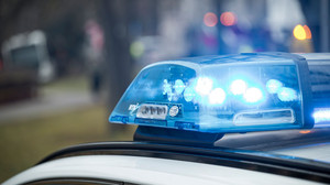 Vermisstenfall: Forstarbeiter entdecken Teile von Skelett