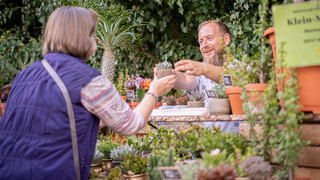 Gartenfest in Laubacher Schloßpark leitet Frühling ein
