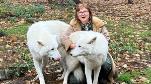 Tundrawolf Aslan im Hanauer Wildpark Alte Fasanerie gestorben