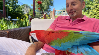 Bunte Vogeldame in Egelsbach: Papagei begleitet Herrchen bis ins Bett