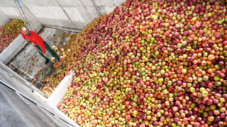 Hassia verlegt Saftherstellung aus Spargründen nach Bad Vilbel