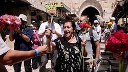 Friedensaktivisten schützen Palästinenser beim Flaggenmarsch in Jerusalem