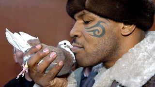 Verrückte Haustiere der Promis: Skorpion, Rehkitz & Tauben