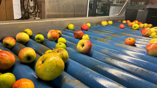 Gudensberg: So wird Saft aus den eigenen Äpfeln und Birnen