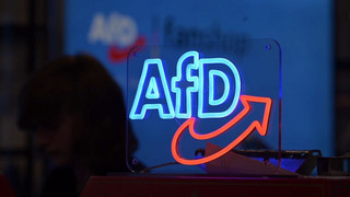 Neuer Rekordwert in Umfragen: AfD nähert sich 30 Prozent
