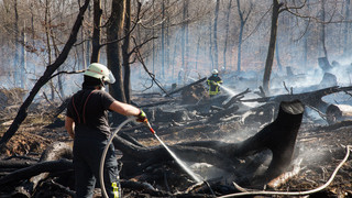 Droht Hessen wieder ein schlimmes Waldbrand-Jahr?