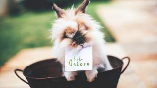 Ostern: Unsere Tipps für ein tolles Fest