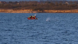 «Entscheidender Tag» - Hat der Wal vor Wismar noch Kraft?