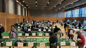 Büchermarkt in Groß-Umstadt: Sammelwoche für Bücher läuft