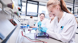 Hochschule Fulda: Neuer Studiengang "Industrielle Biotechnologie"