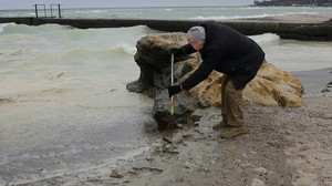 Nach russischem Angriff: Sonnenblumenöl verschmutzt Meer vor Odessa