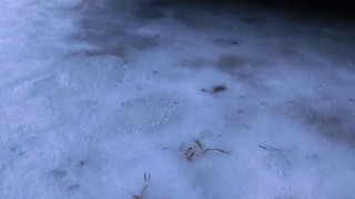 Nasses Wochenende mit Schnee und Glatteisgefahr