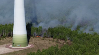 152 Hektar betroffen: Waldbrand bei Jüterbog ist eingedämmt