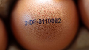 Das bedeuten die Codes auf den Eiern