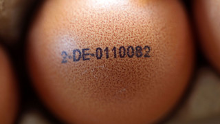 Das bedeuten die Codes auf den Eiern